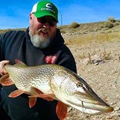 Rodger Smithさんの写真