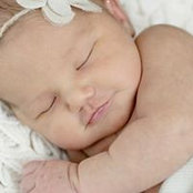 Teale Bohl's photo