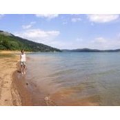 Tanja Štajdohar's photo