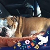 Lola Patricia's photo