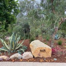 Landscape Ideas