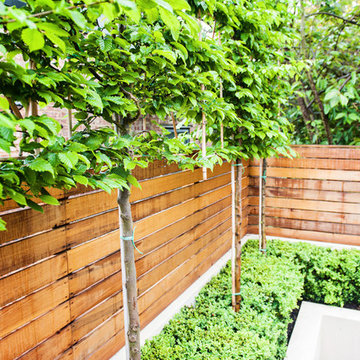 Wondeful Garden Design in Fulham