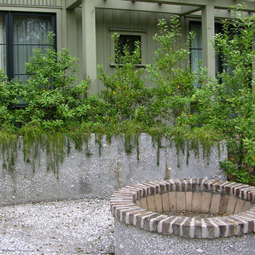 Beech Residence