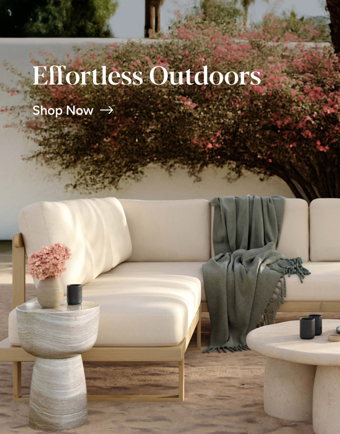 Shop Promo Banner