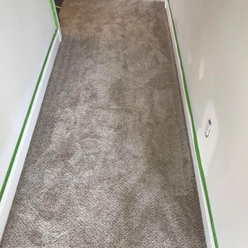 Leduc Carpet Project