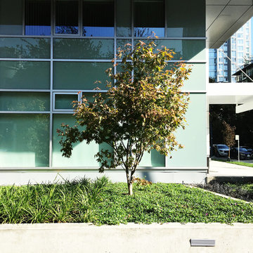 Basalt Setts, Jubilee House Residences, Vancouver, BC