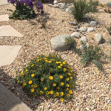 Landscape Ideas