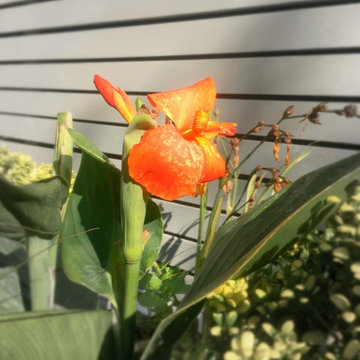 Orange accent planting fill the spaces between the planting.