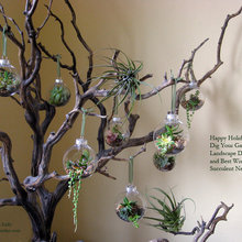 decorating ideas