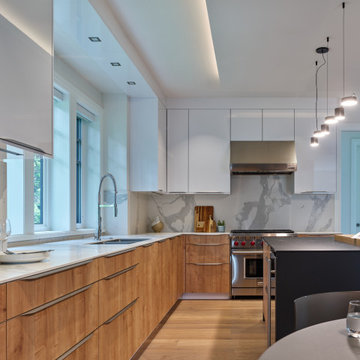 Contemporary Kitchen