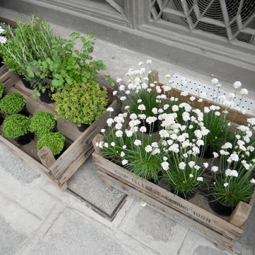 Borrow Garden Ideas From Springtime in Paris