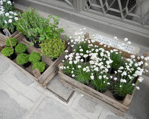 Herb Garden Container Home Design Ideas, Pictures, Remodel and Decor