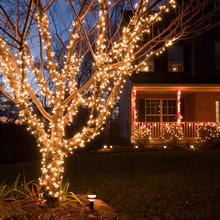 Outdoor Christmas Lights