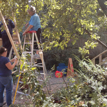 The Year of the Edible Gardens