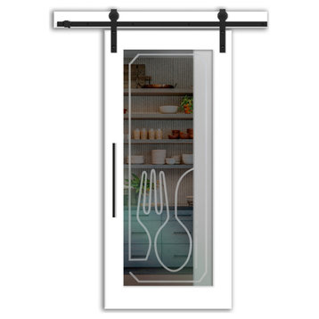 Pantry Sliding Door with Frosted Desing