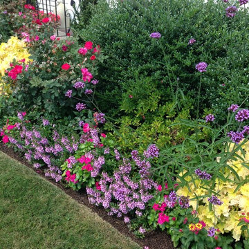 seasonal color