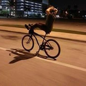 Derek Wavering's photo