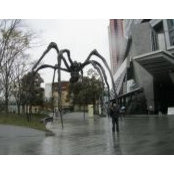 Lionel Rodriguez's photo