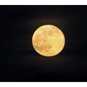 Stace Caseria's photo