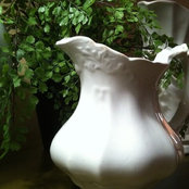 Karen Neiden's photo
