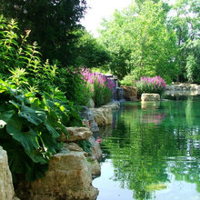 Water Features