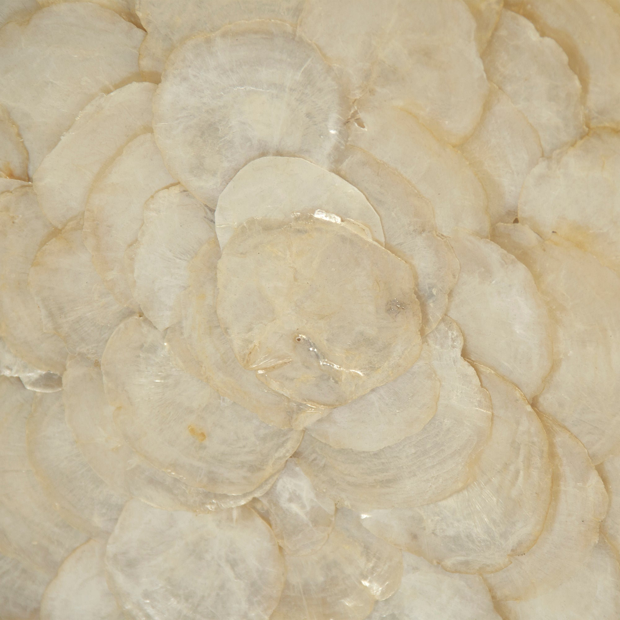 Abstract Shell Art - Contemporary - Wall Accents - by Hudson Home Decor ...