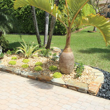 Front Yard Landscaping