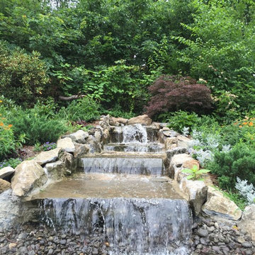 Lush Tranquility