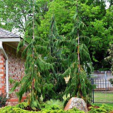 Norman, OK Landscaping Renovation