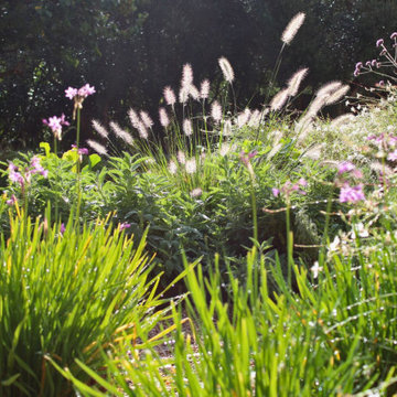 CRESTATX GARDEN DESIGN