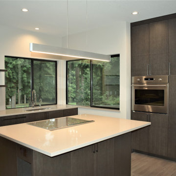 Remodeling - Mill Creek Home with Modern Influences