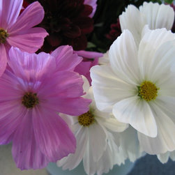 Flora Verdura - Products