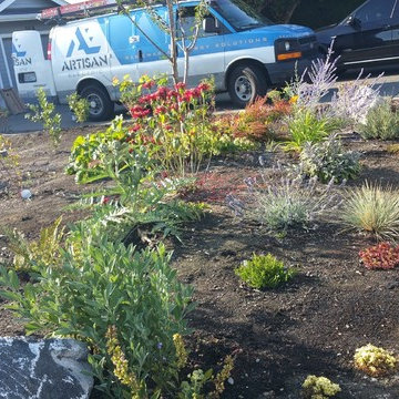 Edible Front Yard