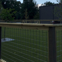 Dog run