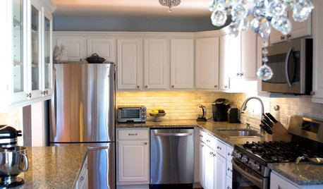DIY Spirit and $8,700 Transform a Townhouse Kitchen