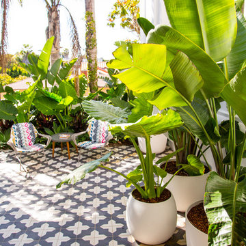 Spanish Modern