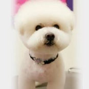 Foto von Katherine Chen