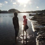 Foto di Alysse Zenkner