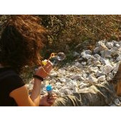 Iulia Smarandache's photo