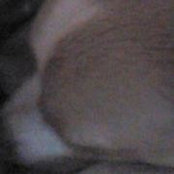 Foto von Elizabeth Boss