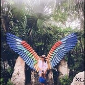 Carla Buenrostro's photo