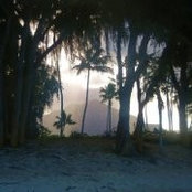 Karine Bergeron's photo