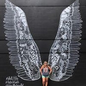 Kristie Hines's photo
