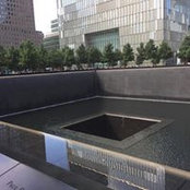Minh Luu's photo