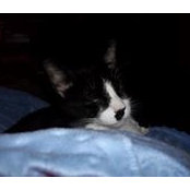 Tracy Ulmer's photo