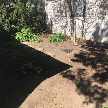 Backyard Denver, Wash Park