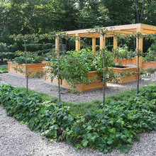 Edible Garden