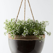 Patio Ideas