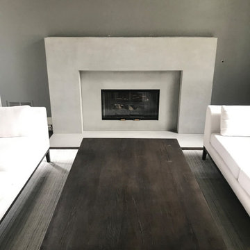 Minimalist Concrete Fireplace Surround with Seamless Hearth