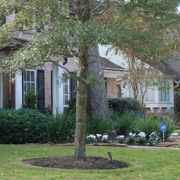 Memorial Area Front Yard